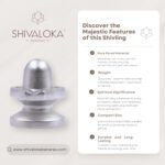 SHIVALOKA Parad Shivling Original | 120g | 3.7cm | for Home Puja & Meditation - Image 2