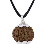 SHIVALOKA 5 Mukhi Rudraksha Original Certified Silver Plated Pendant | 15.00-18.00 mm size | Five Face Nepal Origin |