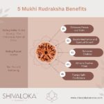 SHIVALOKA 5 Mukhi Rudraksha Original Certified Silver Pendant | 20 mm size | Five Face Nepal Origin | Laboratory Report | - Image 3