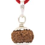 SHIVALOKA 11 Mukhi Rudraksha Original Certified Silver Pendant 15 mm size (Eleven Face) (with Laboratory Report).