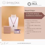 SHIVALOKA 5 Mukhi Rudraksha Original Certified Silver Pendant | 20 mm size | Five Face Nepal Origin | Laboratory Report | - Image 4