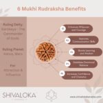 SHIVALOKA 6 Mukhi Rudraksha Original Certified Nepal Origin Brown Bead 15-18 mm Size (Six Face)  (with Laboratory Report). - Image 4