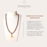 SHIVALOKA Rudraksha Mala Original 108 +1 beads | Size 6.50 mm | - Image 2