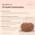 SHIVALOKA 13 Mukhi Rudraksha Original Certified | Nepal Origin Premium Bead (Thirteen Face) | (with Laboratory Report). - Image 3
