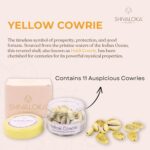 Shivaloka Natural Yellow Cowrie Shells Original | Set of 11 Pieces | PILI Kowdi | Ideal for Puja Offerings - Image 2