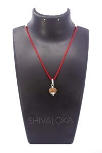 SHIVALOKA 11 Mukhi Rudraksha Original Certified Silver Pendant 15 mm size (Eleven Face) (with Laboratory Report). - Image 2