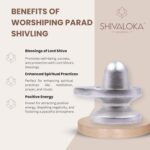 SHIVALOKA Parad Shivling Original | 120g | 3.7cm | for Home Puja & Meditation - Image 3