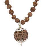 SHIVALOKA 5 Mukhi Rudraksha Mala 108 Beads With 6 Mukhi (Six Face) Rudraksha Pendant | Pure Silver | 15.00 mm Size | Nepal Origin |