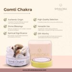 Shivaloka Natural Gomti Chakra | Set of 11 Pieces | Ideal for Puja Offerings & Attracting Luck - Image 3